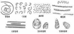 數控加工中心的切屑能反應哪些加工情況？